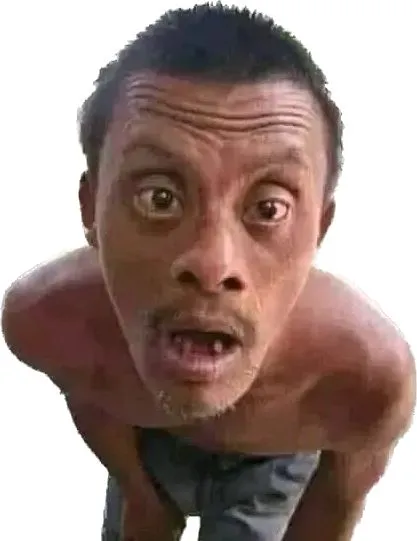 Rudi anto